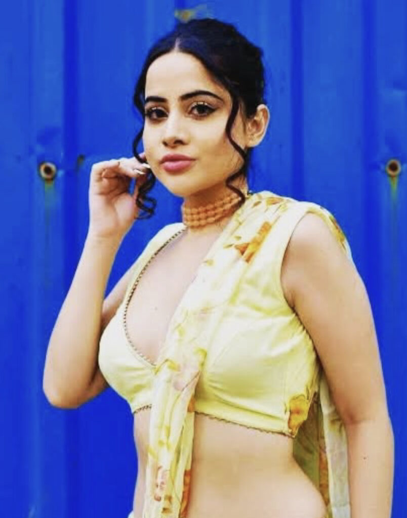 Urfi Jaaved income reveals 2025